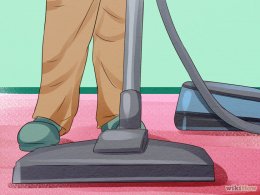 Изображение с названием Clean Carpets Step 1